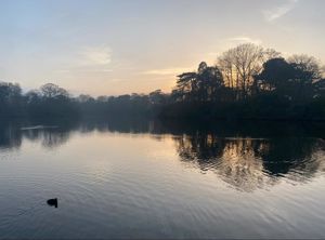 Photo 26- click for photo gallery